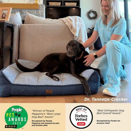 XL Orthopedic Dog Bed I Waterproof Sofa
