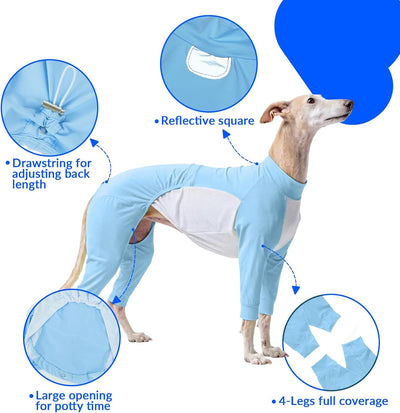 Big Dog Cooling Suit I UV Protection Blue color