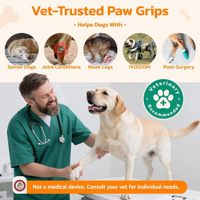 Anti-Slip Dog Paw Pad Shoes for Seniors