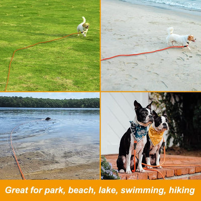 Leash Floating Recall Freedom For Active Dogs