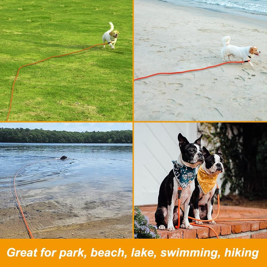 Leash Floating Recall Freedom For Active Dogs