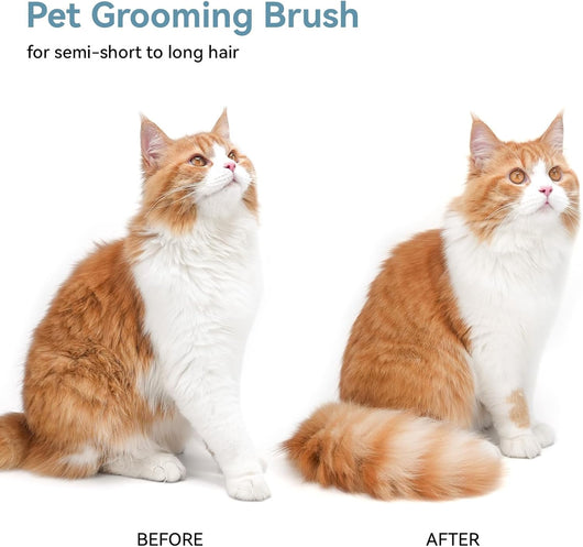 Self Cleaning Slicker Brush For Pets Grooming