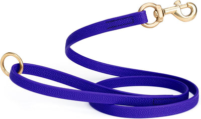 Waterproof Biothane Dog Leash for Training Adventures