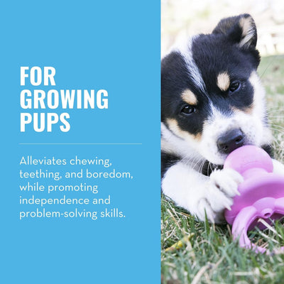 Puppy Pacifier Teething Toy For Small Puppies