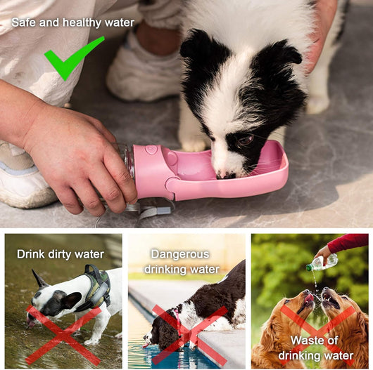 Foldable Dog Water Bottle with Travel Cup