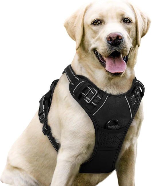 Black reflective no-pull dog harness with front and back leash clips