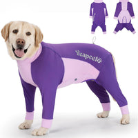 Big Dog I Cooling Suit UPF 50+