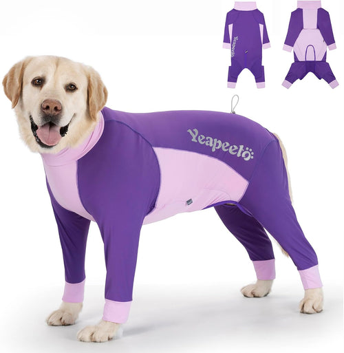 Big Dog I Cooling Suit UPF 50+
