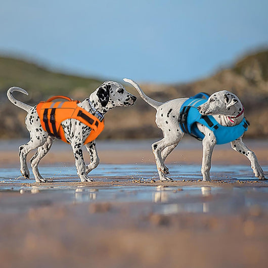 Dog Life Jacket High Flotation – Reflective Waterproof Dog Swim Vest with Rescue Handle for Small, Medium & Large Dogs
