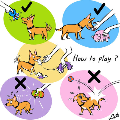 Squeaky Latex Dog Toys 3-Pack