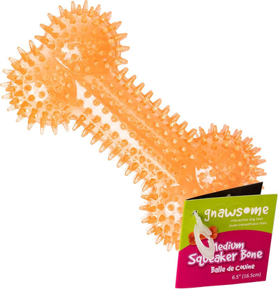 Spiky Squeaky Dog Bone Toy for Heavy Chewers