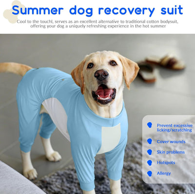Big Dog Cooling Suit I UV Protection Blue color