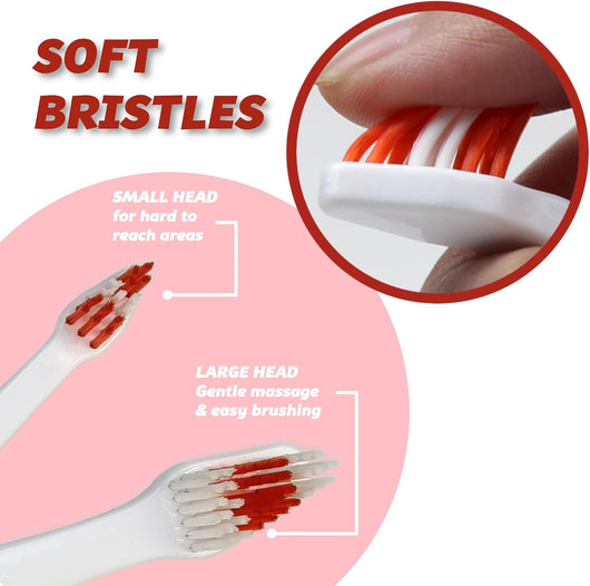 Dual Head Dog Toothbrush For Medium Large Dogs