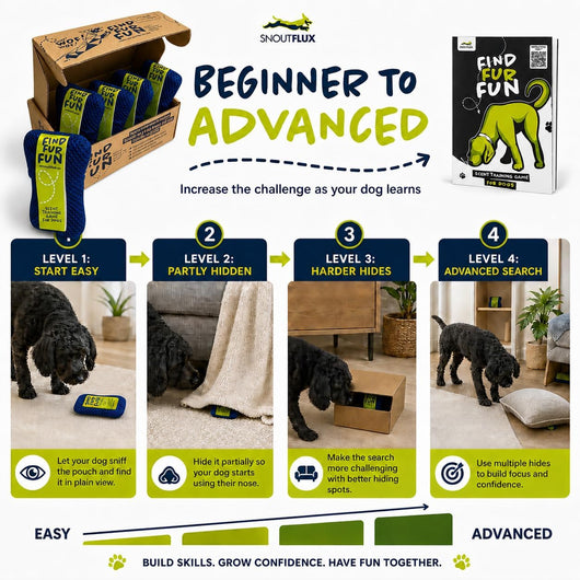 Nose Work Scent Training Kit For Bored Dogs