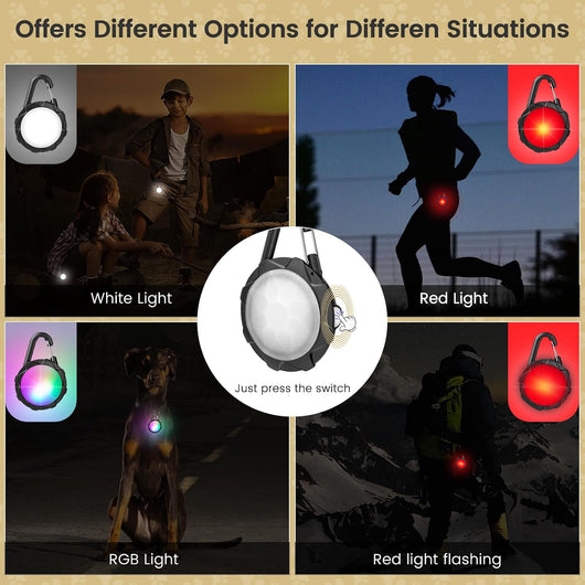 Rechargeable Dog Collar Lights for Night Walks