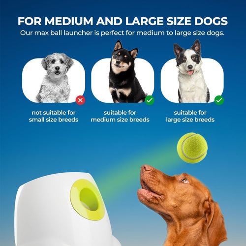 Automatic Dog Ball Launcher | Rechargeable Fetch Toy