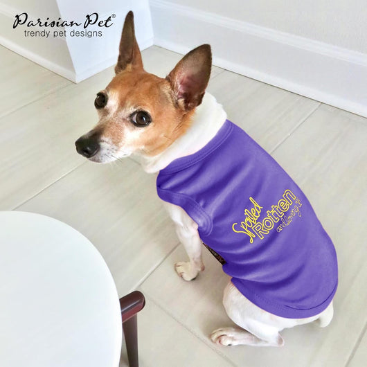 Big Dog I Purple Cotton Shirt Summer Outfit