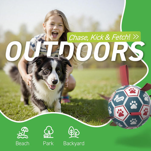 QDAN Dog Soccer Ball 6" I Toy for Small & Medium Dogs