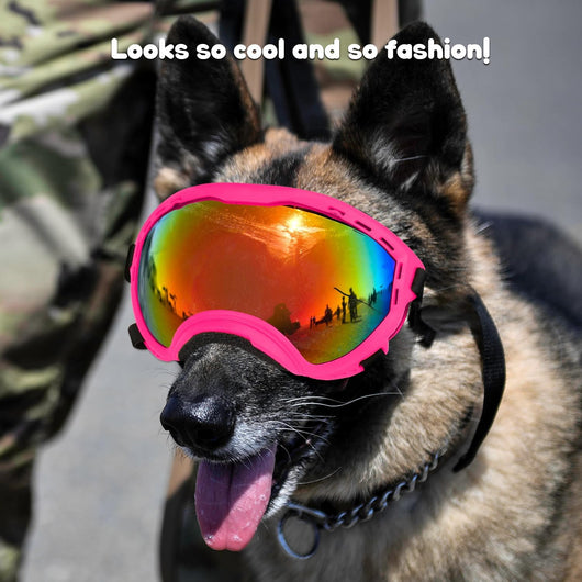 Dog Goggles UV Protection Medium Large Dogs