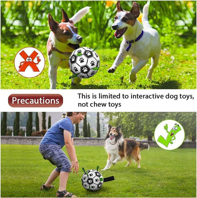Dog Soccer Ball 6" I Tug & Water Toy