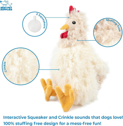 Crinkle Squeaky Plush Dog Toy