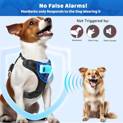 Small Dog Bark Control Vest I Rechargeable No Bark Device