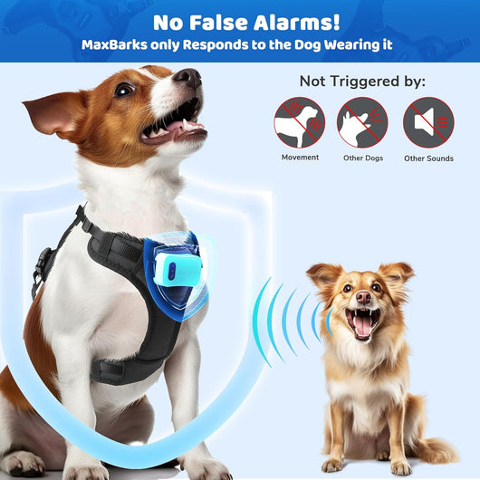 Small Dog Bark Control Vest I Rechargeable No Bark Device