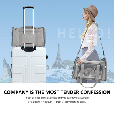 Airline Approved Soft Pet Travel Carrier Bag