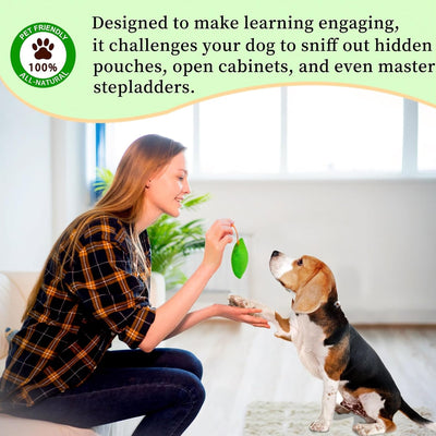 Nose Work Scent Training Kit For Calmer Dogs
