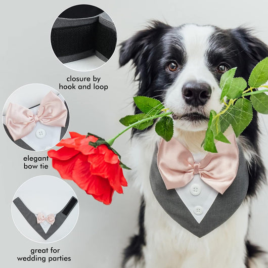 Grey Formal Dog Tuxedo Bandana with Bowtie
