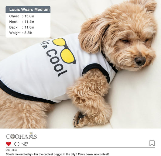2 Pack Dog Shirts | Small Medium Dog Clothes | Cotton Puppy T-Shirts