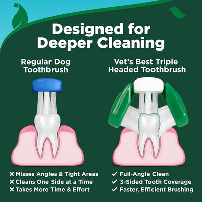 Dog Dental Care Kit With Toothpaste Toothbrush