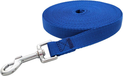 Leash Long-Distance Recall Training Freedom For Dogs