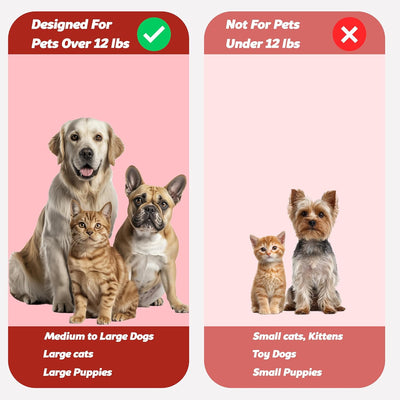Dual Head Dog Toothbrush For Medium Large Dogs