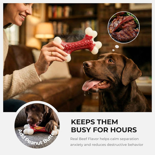 Kseroo Beef-Flavored Nylon Bone