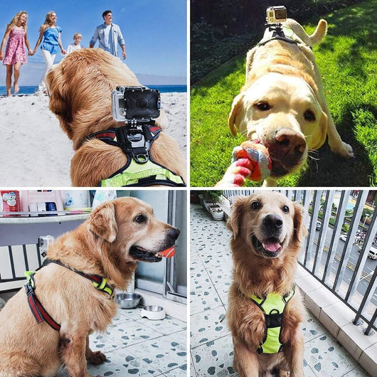 Adjustable Dog Action Camera Harness Mount Vest
