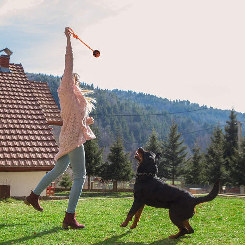 K9 Dog Training Ball with Rope