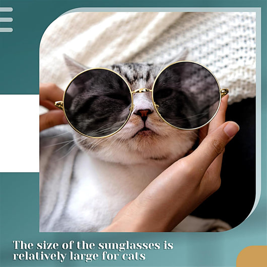 Dog Sunglasses Retro Round Metal Style