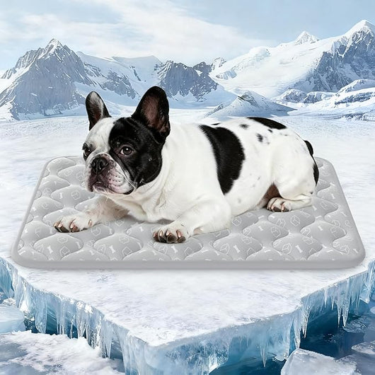 Rywell Cooling Dog Mat For XL Dogs