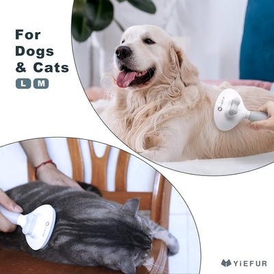 Self Cleaning Cat Brush For Easy Grooming