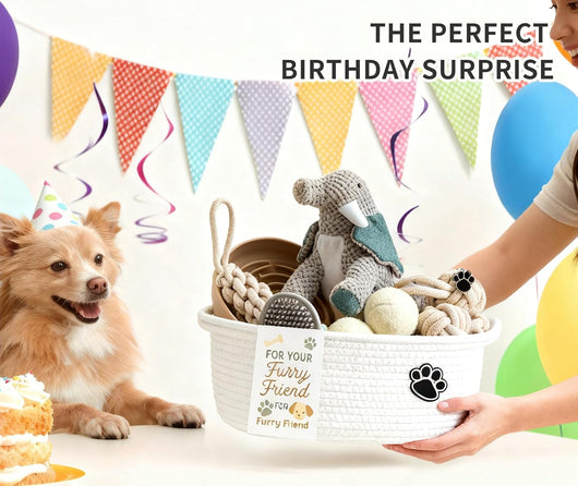 Puppy Starter Gift Basket I Essential Toy Collection