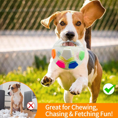 Floating Squeaky Dog Ball for Water Adventures