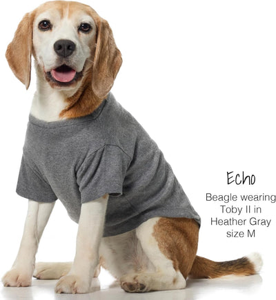 Dog Clothes 3 Pack | Organic Cotton Soft Pet Shirts