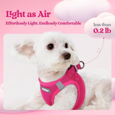 Step In Puppy Harness With Leash Walking Set