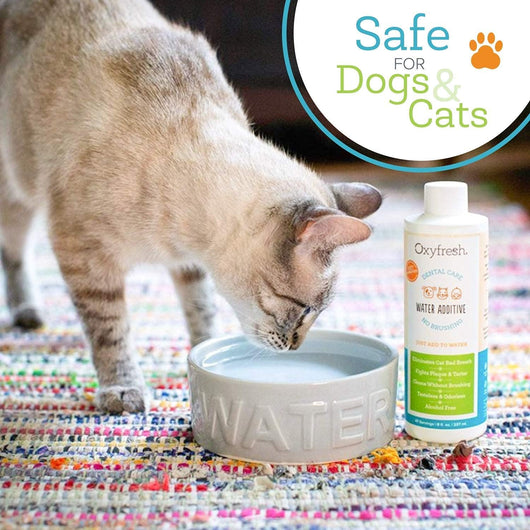 Dog Dental Water Additive for Fresh Breath
