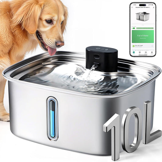 Smart Stainless Steel Dog Water Fountain System