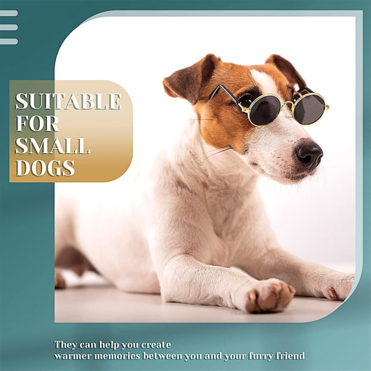 UV Protection | Retro Dog Sunglasses