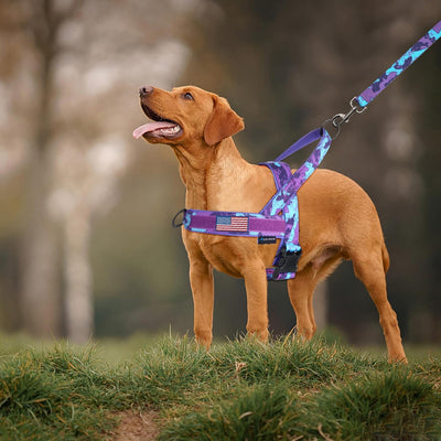 No Pull Adjustable Dog Training Harness with Handle