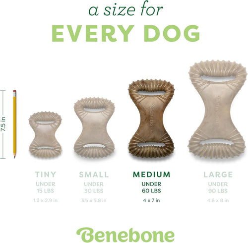 Benebone Bacon Dental Chew for Aggressive Dogs