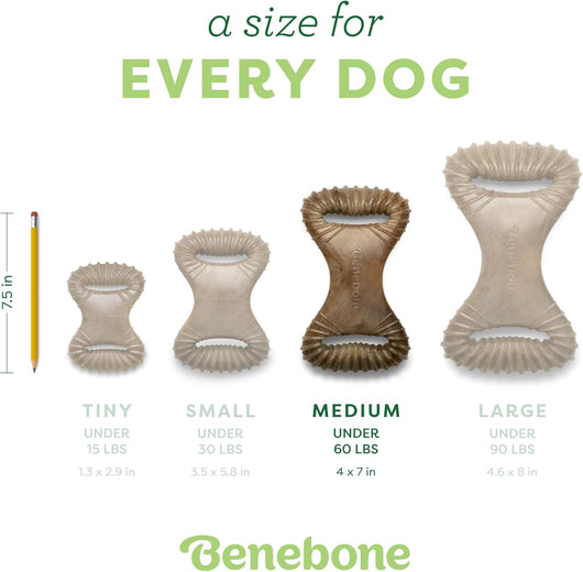 Benebone Bacon Dental Chew for Aggressive Dogs